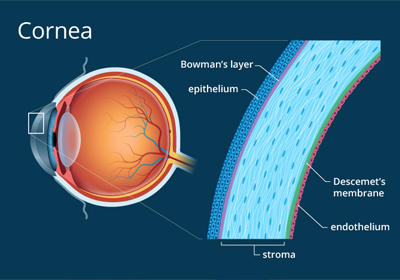 Eye Clinic in Yelahanka New Town